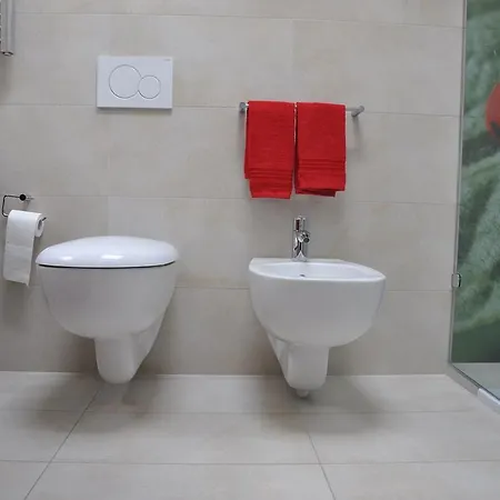 艾桑提住宿加早餐旅馆 多索博诺